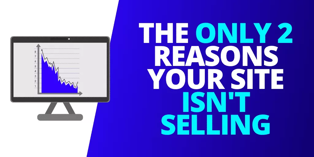 The ONLY 2 Reasons Your eCommerce Site Isn’t Selling [EXAMPLES]