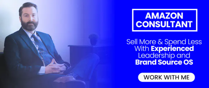 Blog Post Ad - eCommerce Consultant - Source Approach - Fractional CMO